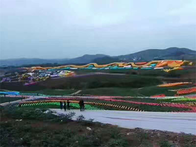 長江郡、漢中、陝西のLongfeng牡丹庭園