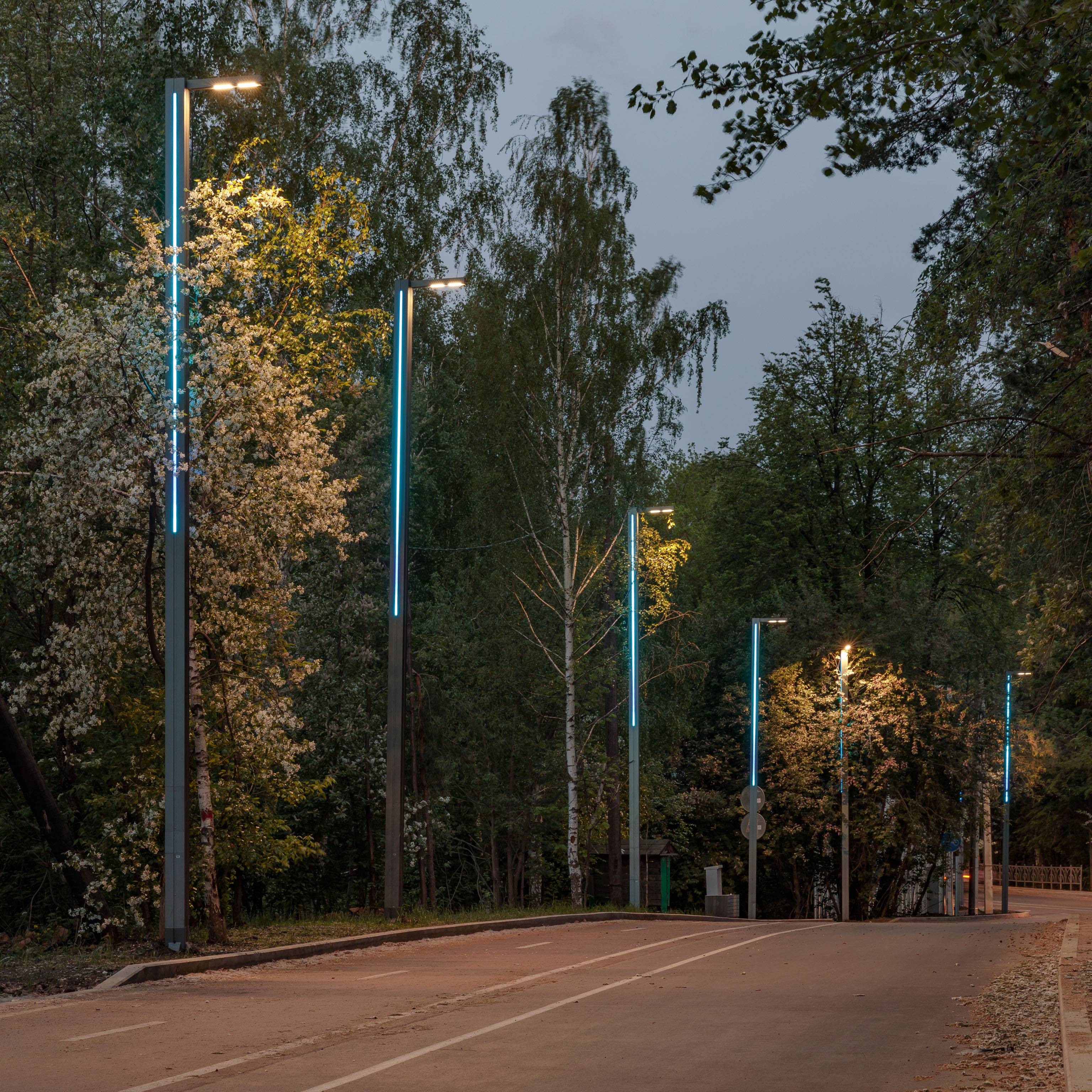 2021.6ロシア・イエカデリンブルグのSararash森林公園の照明(都市計画)